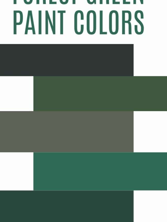 The best hunter green paint colors - The Paint Color Project