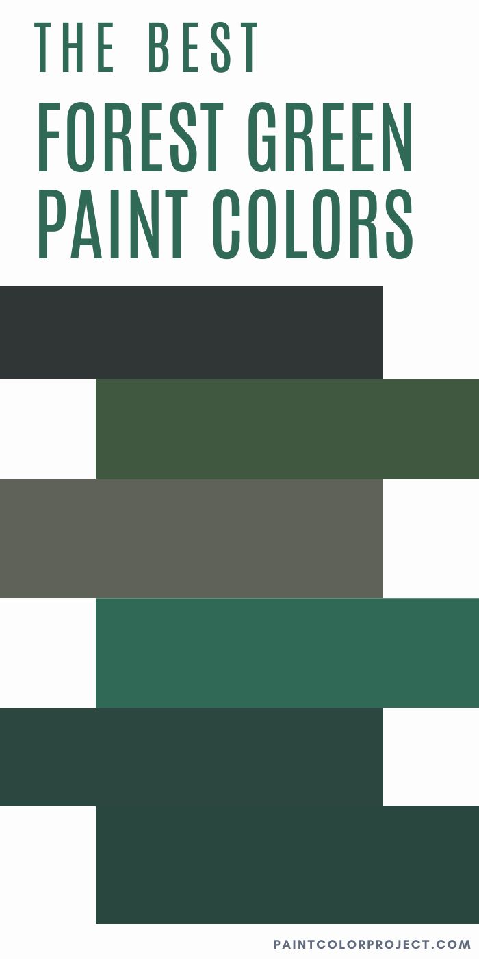 The best Forest Green paint colors - The Paint Color Project