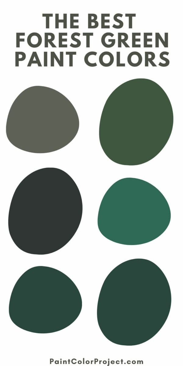 The best Forest Green paint colors The Paint Color Project