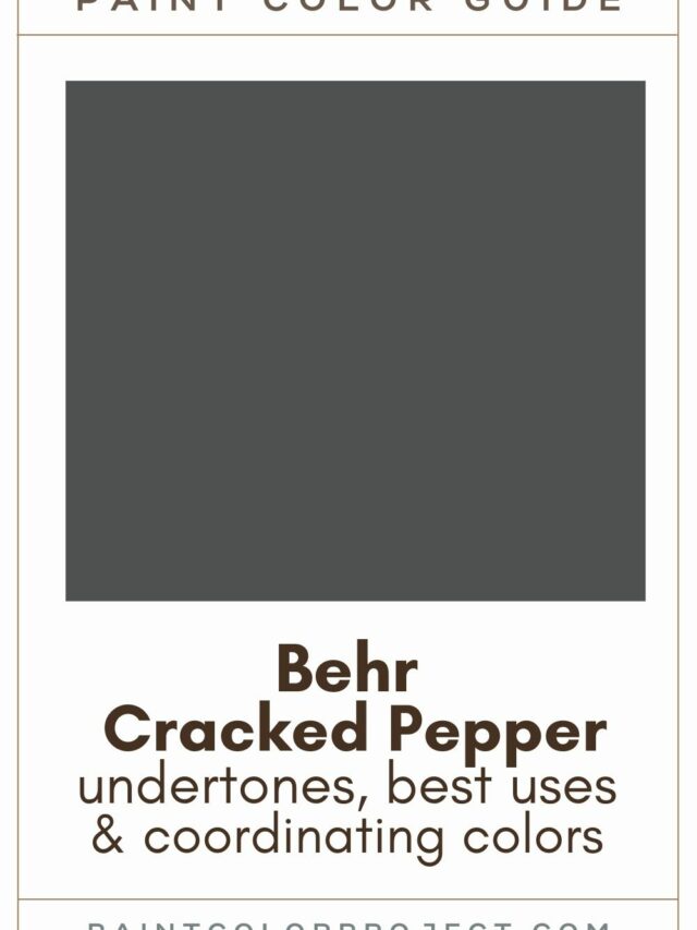 What Are The Paint Color Trends For 2024 The Paint Color Project   Behr Cracked Pepper Paint Color Guide 640x853 