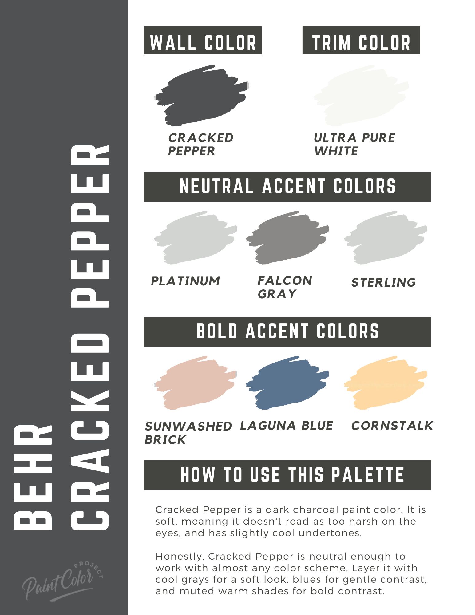 Behr Cracked Pepper paint color palette