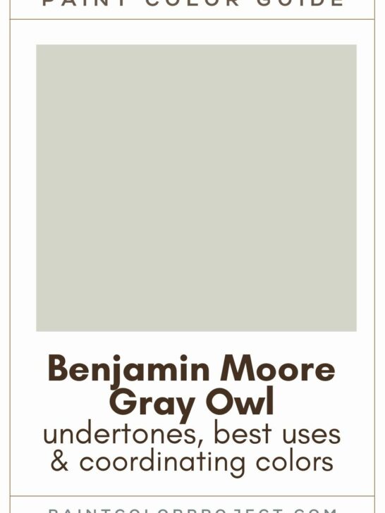 Benjamin Moore Gray Owl paint color guide
