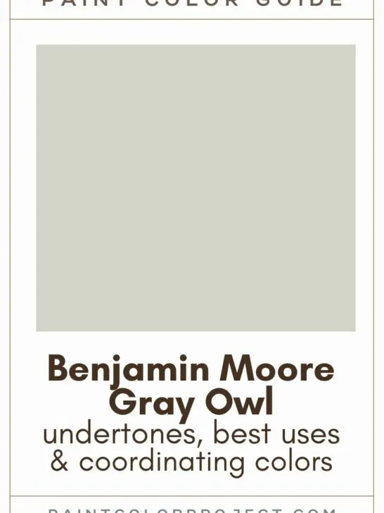 Benjamin Moore Gray Owl paint color guide