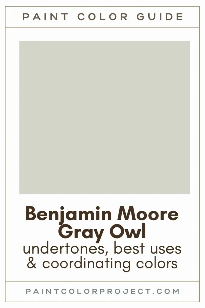 Benjamin Moore Gray Owl paint color guide
