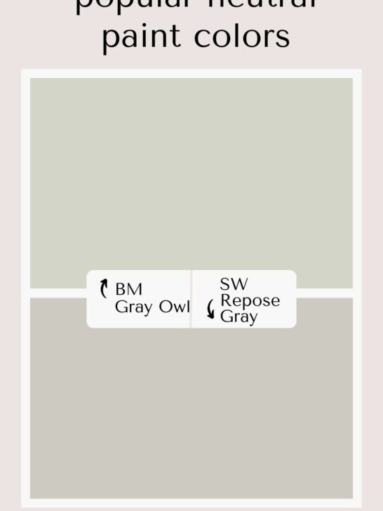Gray Owl vs Repose Gray color comparison