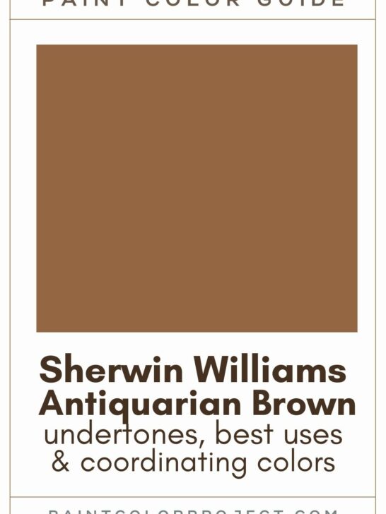 Sherwin Williams Antiquarian Brown paint color guide