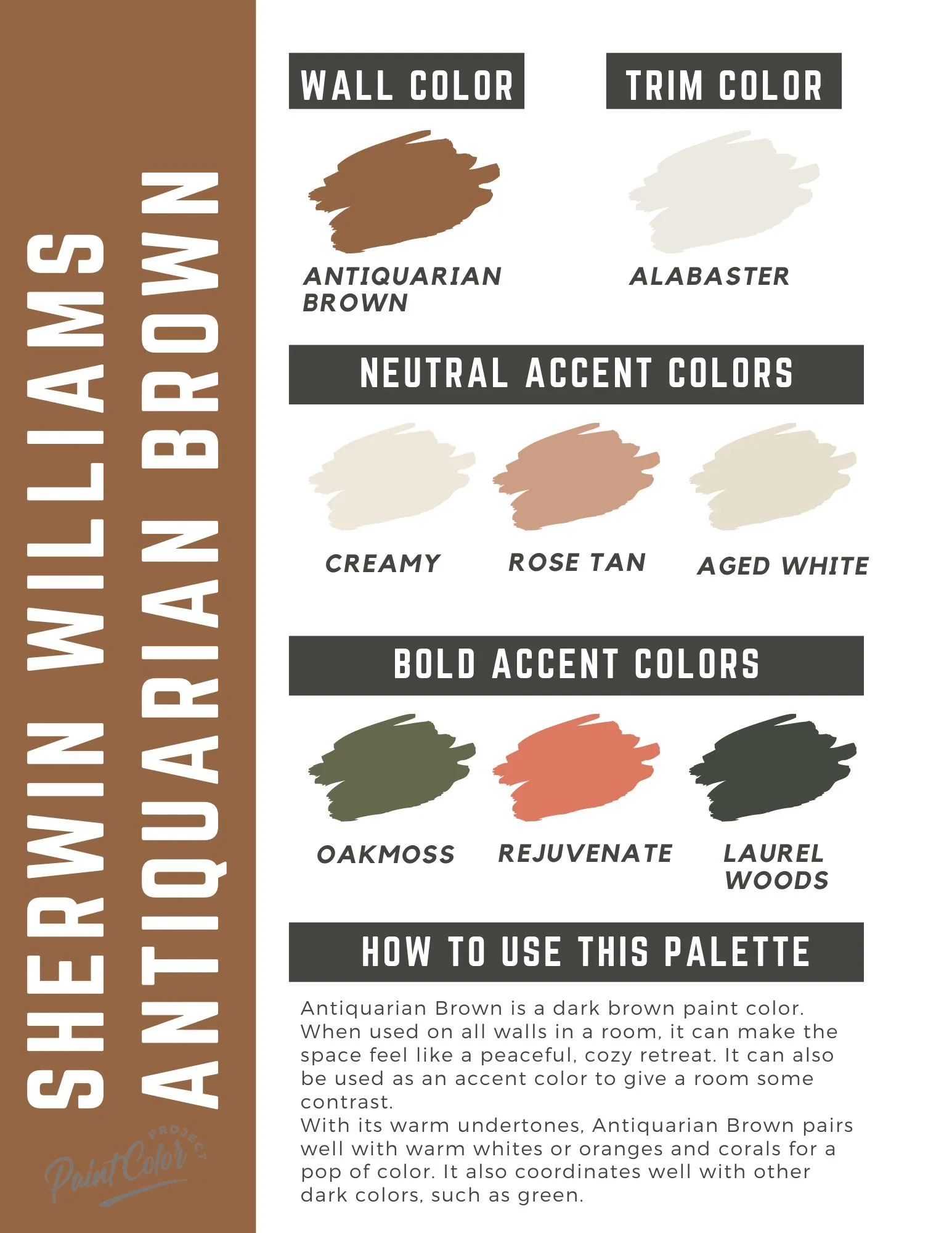 Sherwin Williams Antiquarian Brown paint color palette