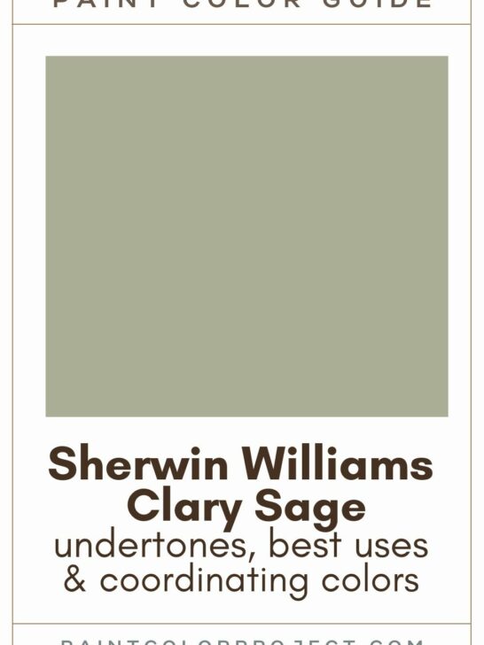 Sherwin Williams Clary Sage paint color guide