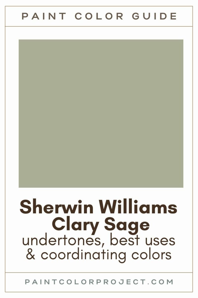 Sherwin Williams Clary Sage: Complete Paint Color Review - The Paint ...