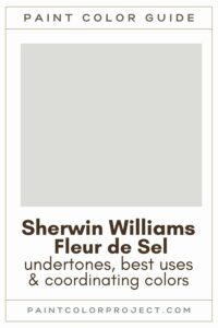 Sherwin Williams Fleur de Sel: a complete color review - The Paint ...