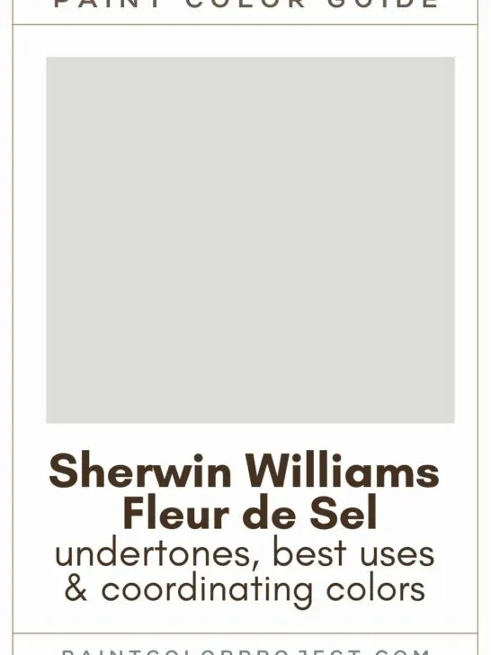 Sherwin Williams Fleur de Sel paint color guide