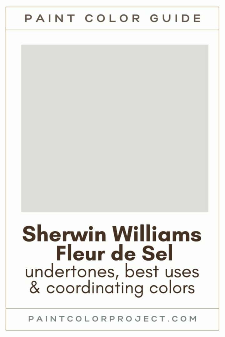 Sherwin Williams Fleur de Sel a complete color review The Paint