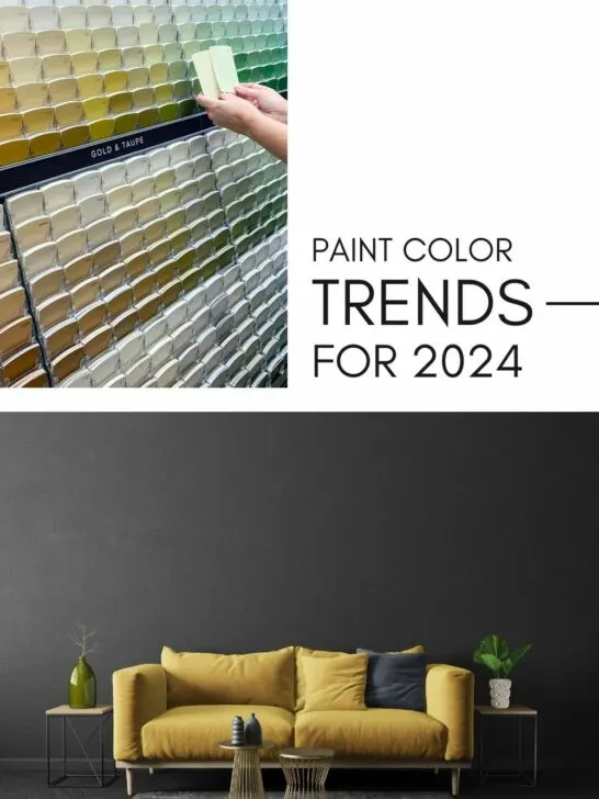 paint color trends for 2024