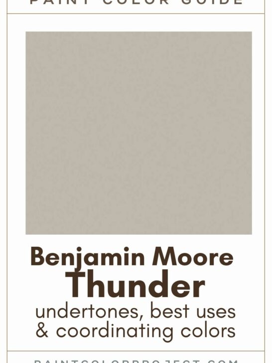 Benjamin Moore Thunder paint color guide