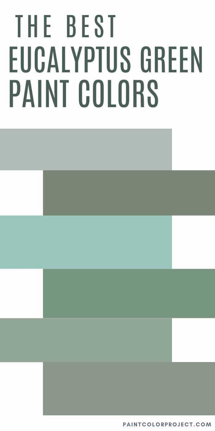 Best Eucalyptus Green Paint Colors The Paint Color Project