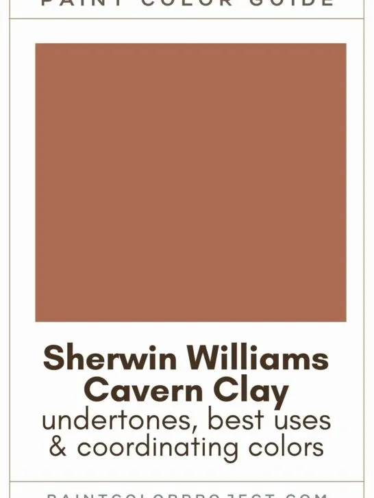 Sherwin Williams Cavern Clay Paint Color Guide.