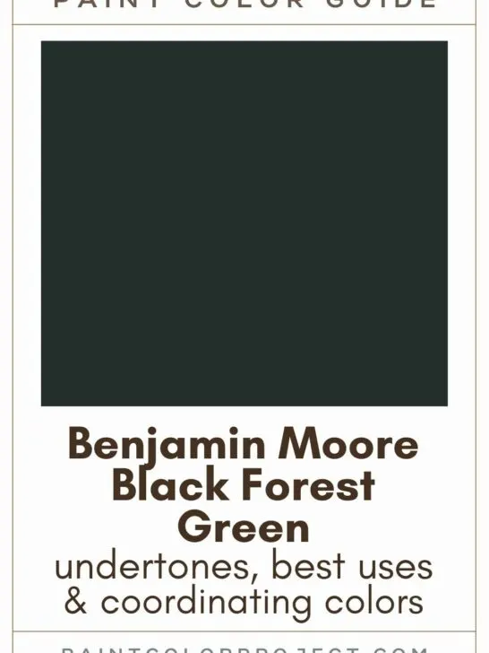 Benjamin Moore Black Forest Green Paint Color Guide.