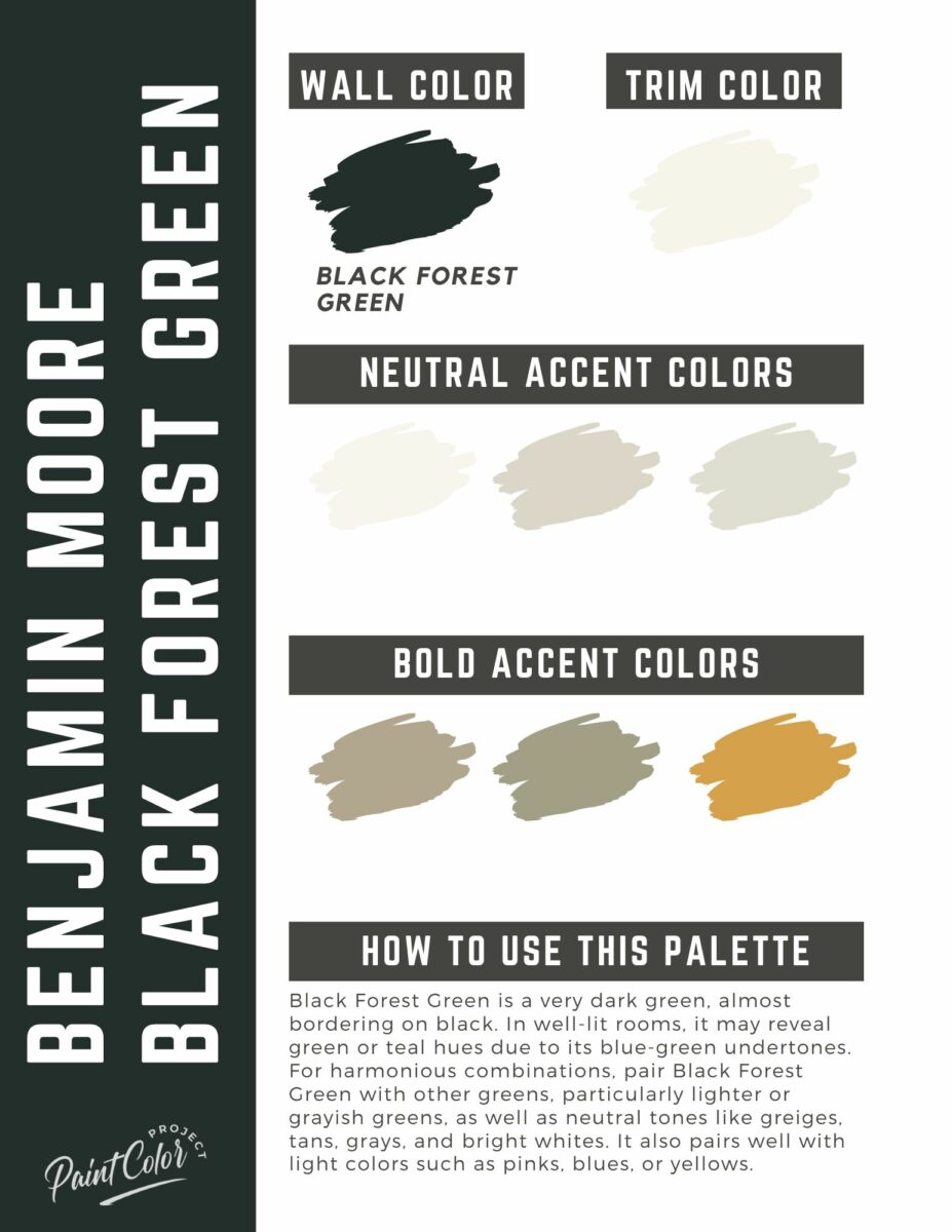 Benjamin Moore Black Forest Green Paint Color Palette - The Paint Color ...