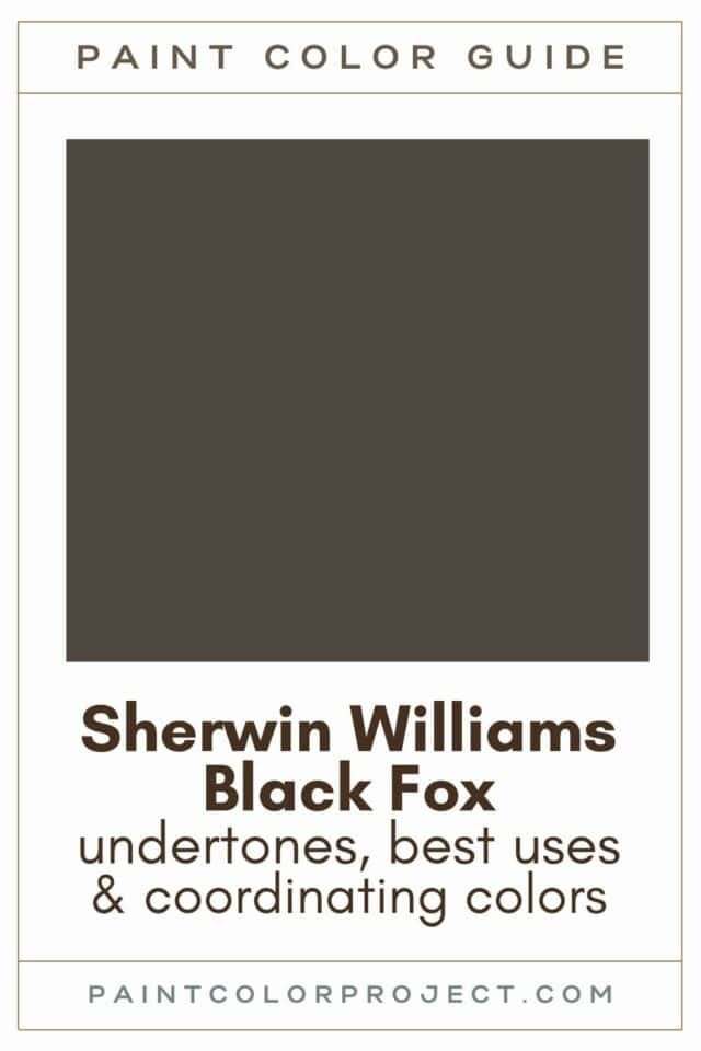 Sherwin Williams Black Fox a complete color review The Paint Color