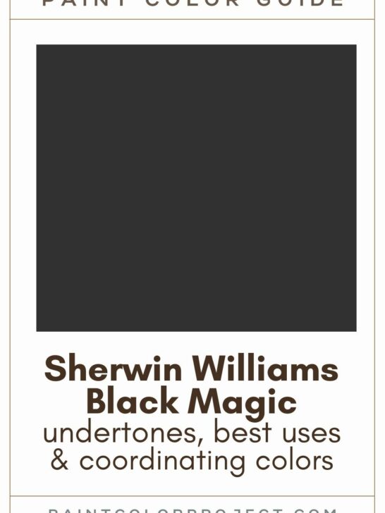 Sherwin Williams Black Magic Paint Color Guide.