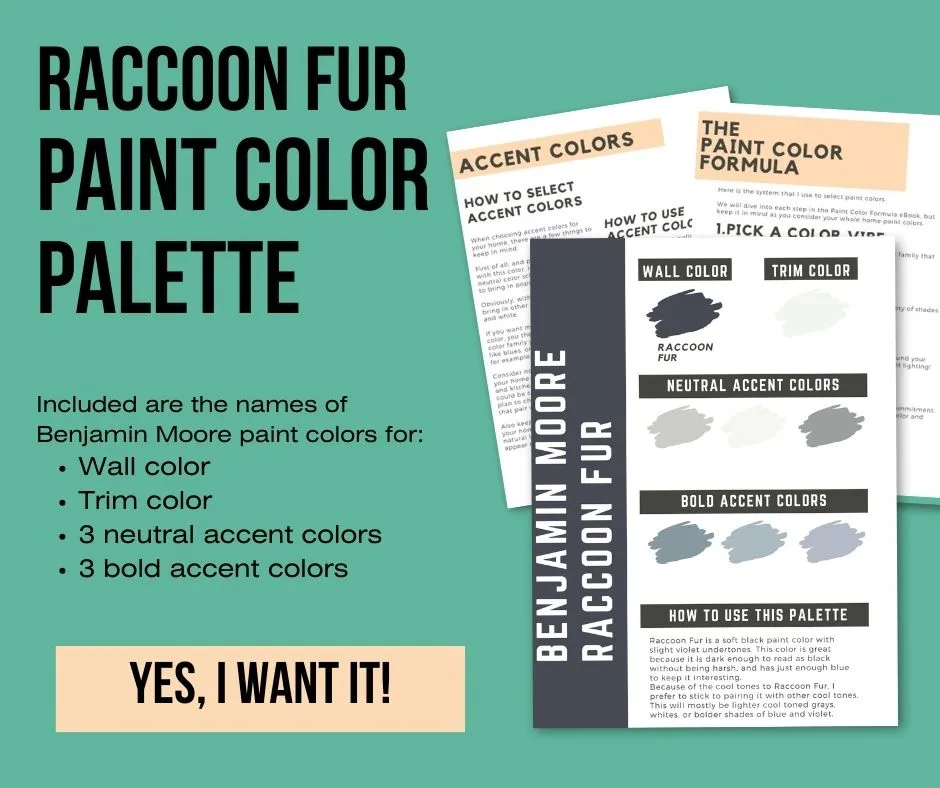 raccoon fur paint color palette