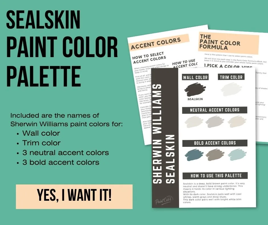 sealskin paint color palette