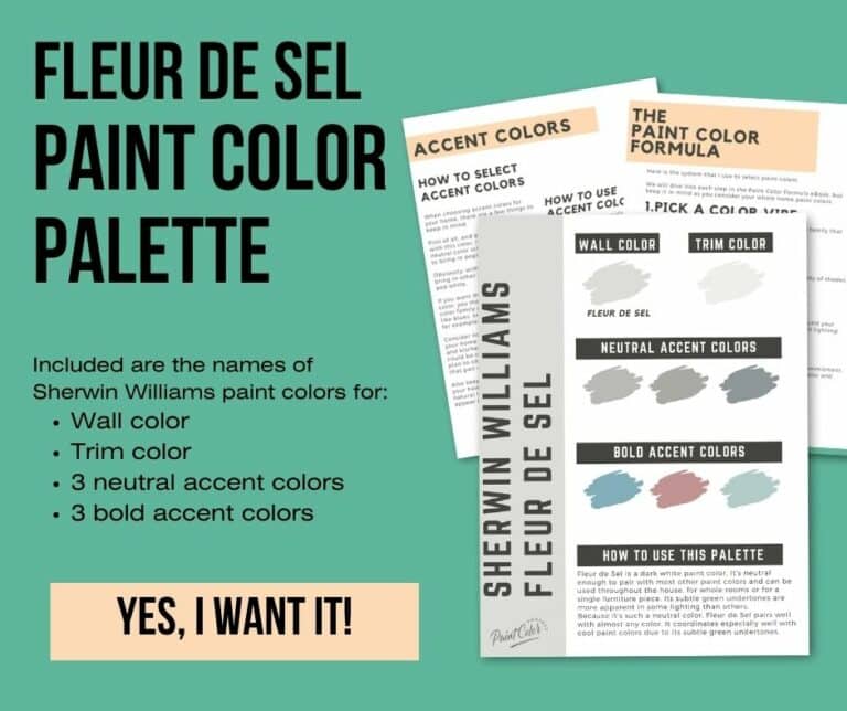 Sherwin Williams Fleur de Sel a complete color review The Paint