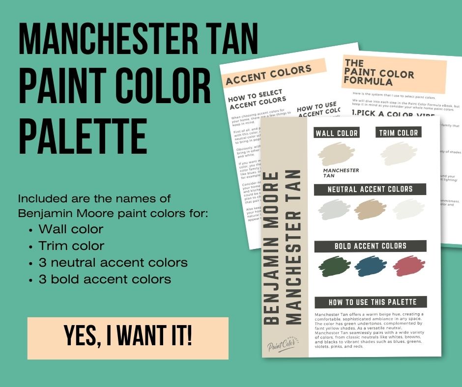 manchester tan paint color palette