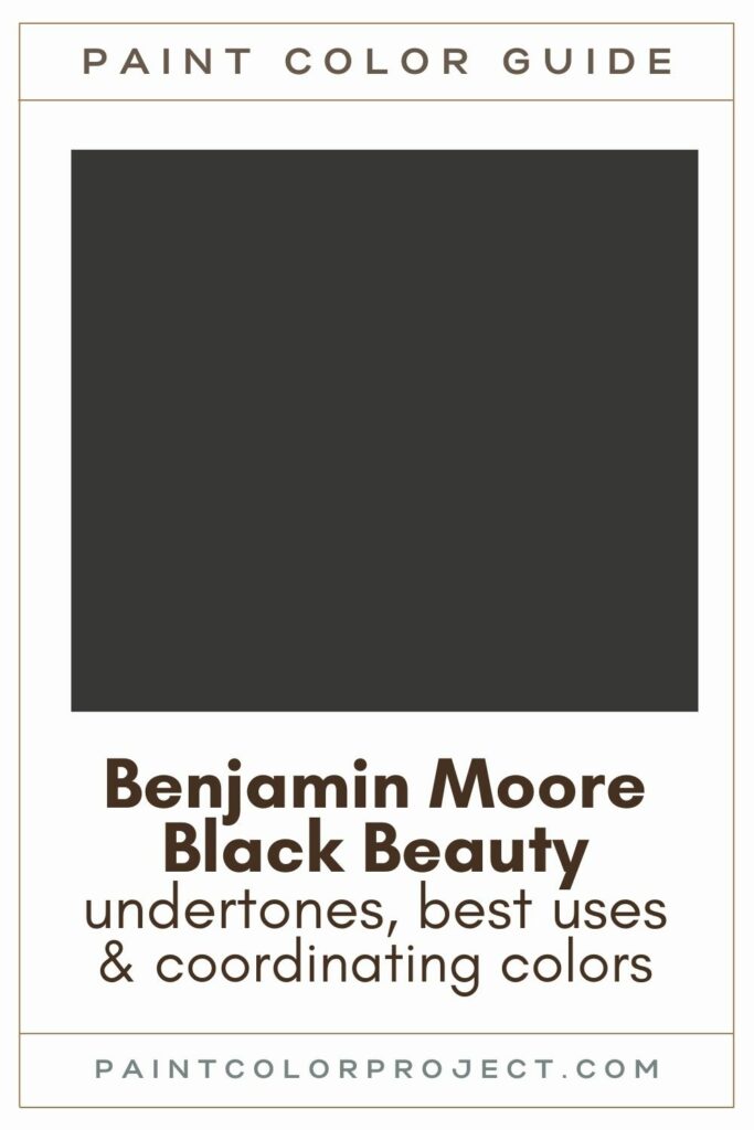 Benjamin Moore Black Beauty Paint Color Guide