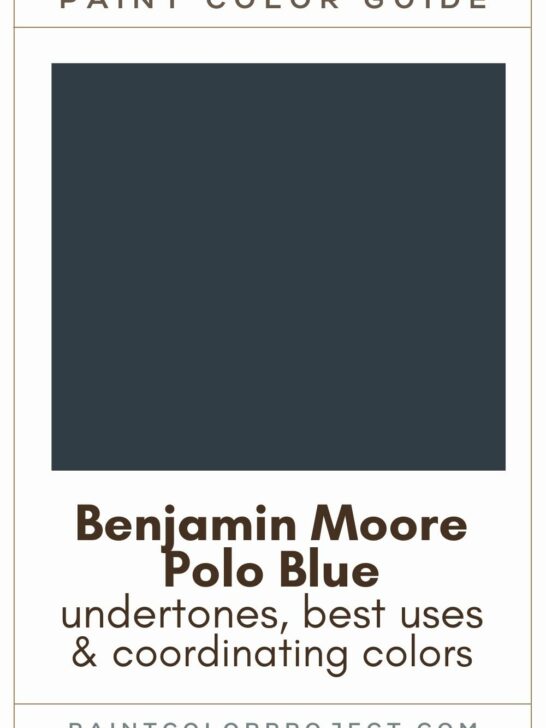Benjamin Moore Polo Blue Paint Color Guide