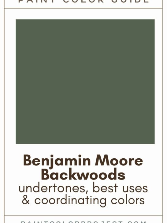 Benjamin Moore Backwoods Paint Color Guide