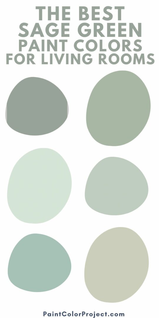 The Best Sage Green Paint Colors For Living Rooms The Paint Color Project