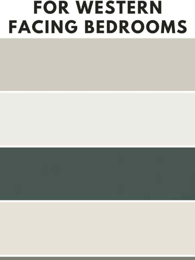 12 Best Behr Neutral Paint Colors Effortless Elegance The Paint