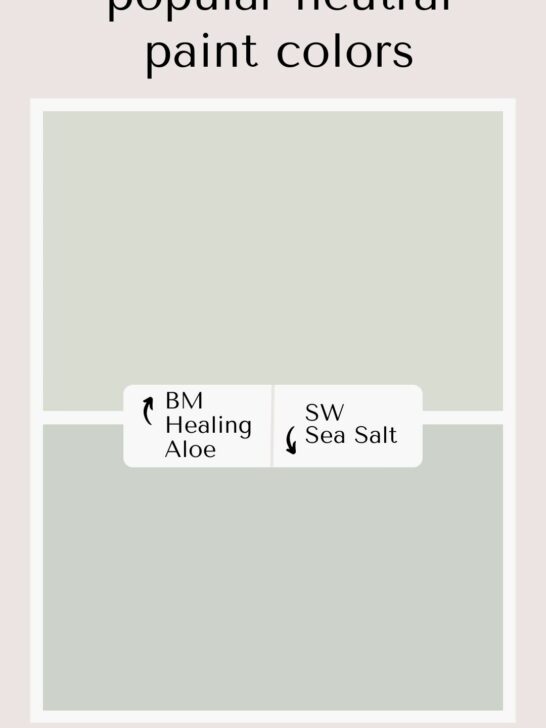 BM Healing Aloe vs SW Sea Salt