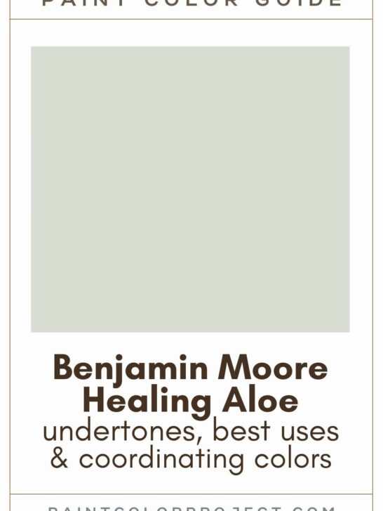 Benjamin Moore Healing Aloe Paint Color Guide