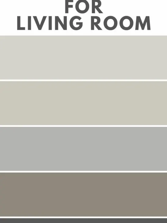 Best gray paint colors for living room