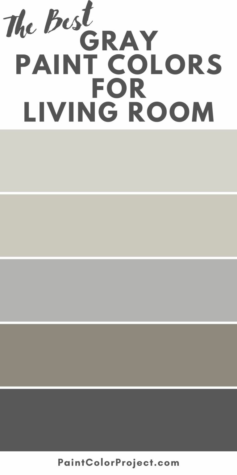 17 Best Gray Paint Colors for the Living Room - The Paint Color Project