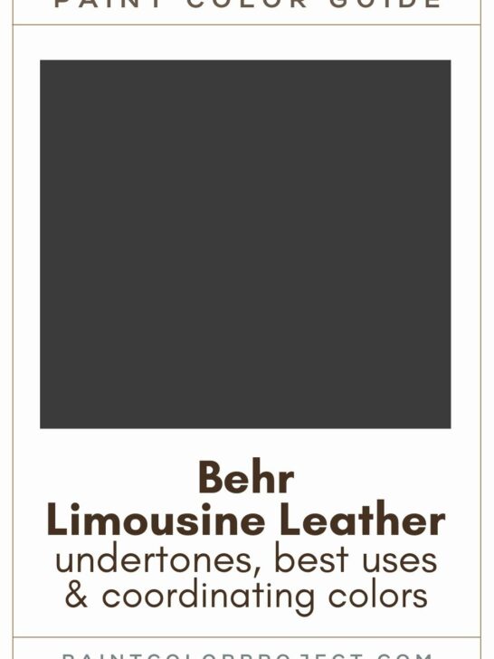 Behr Limousine Leather Paint Color Guide