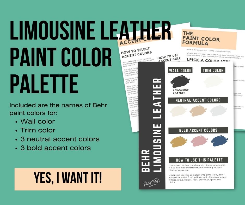 Behr Limousine Leather Paint Color Palette
