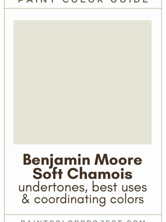 Benjamin Moore Soft Chamois Paint Color Guide