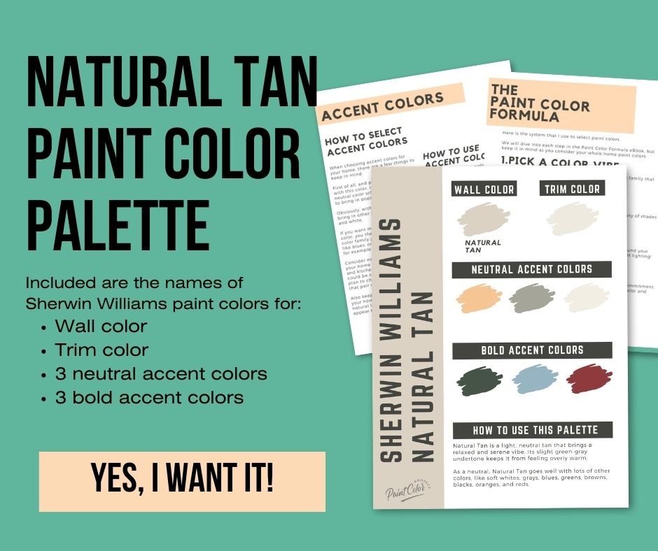 Sherwin Williams Natural Tan Color Palette