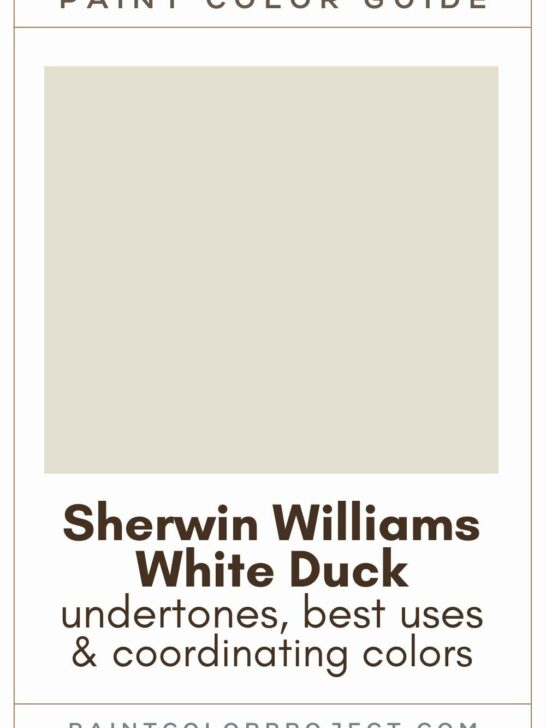 Sherwin Williams White Duck Paint Color Guide