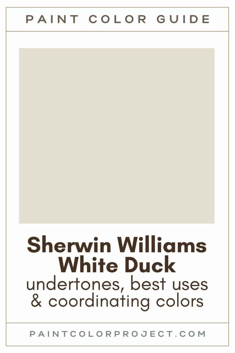 Sherwin Williams White Duck: Complete Color Review - The Paint Color ...