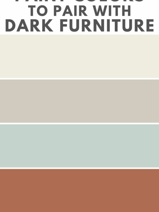 the best dining room paint colors to pair with dark furniture