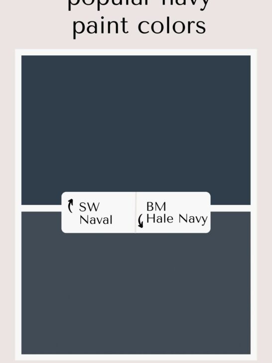 SW Naval vs BM Hale Navy