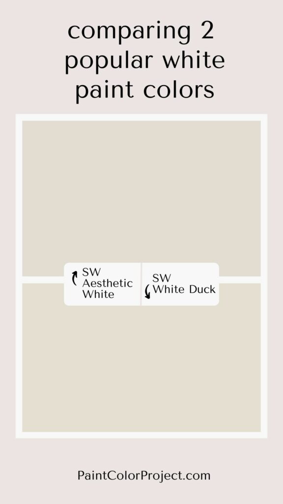 Sherwin Williams Aesthetic White vs White Duck