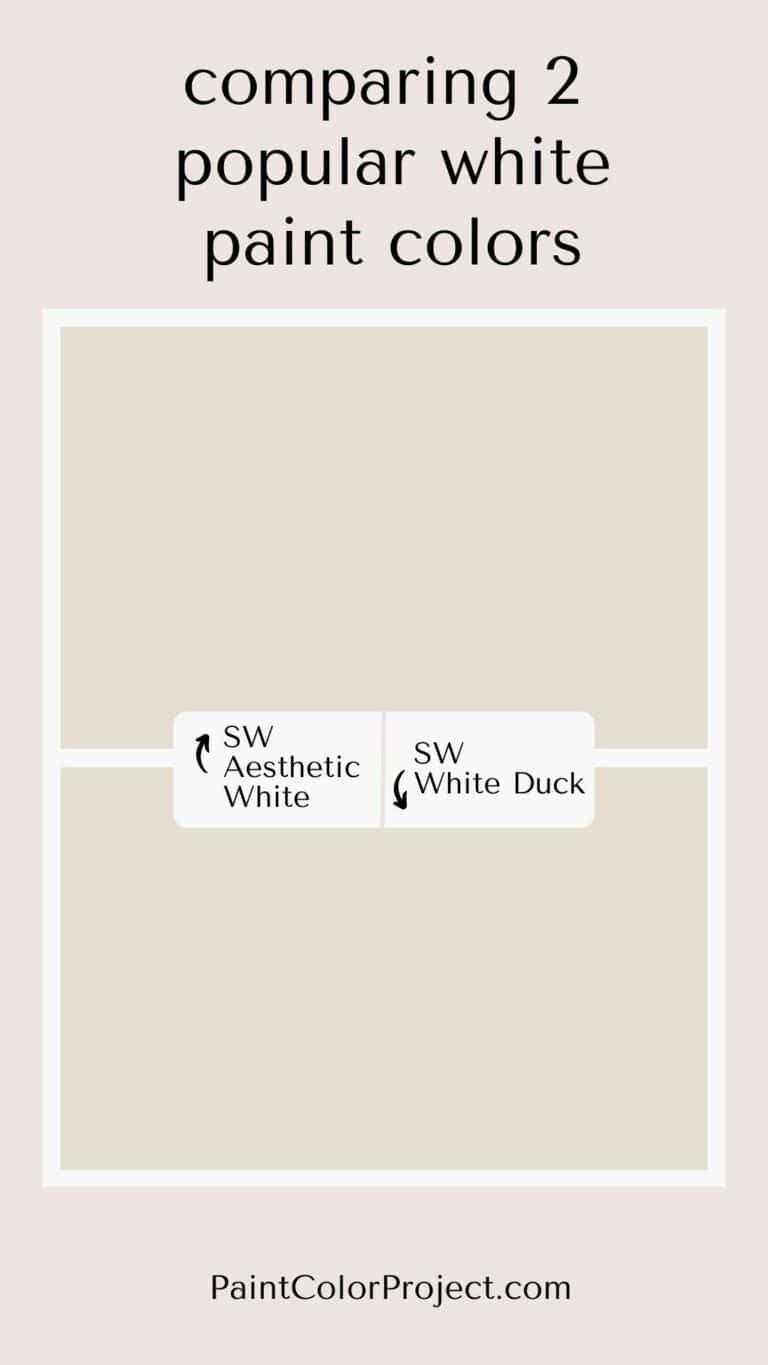 Sherwin Williams Aesthetic White vs White Duck Let's Compare! The