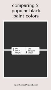 Benjamin Moore Black Beauty: a complete color review - The Paint Color