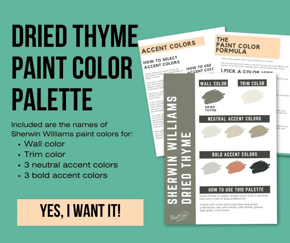 Sherwin Williams Dried Thyme Color Palette