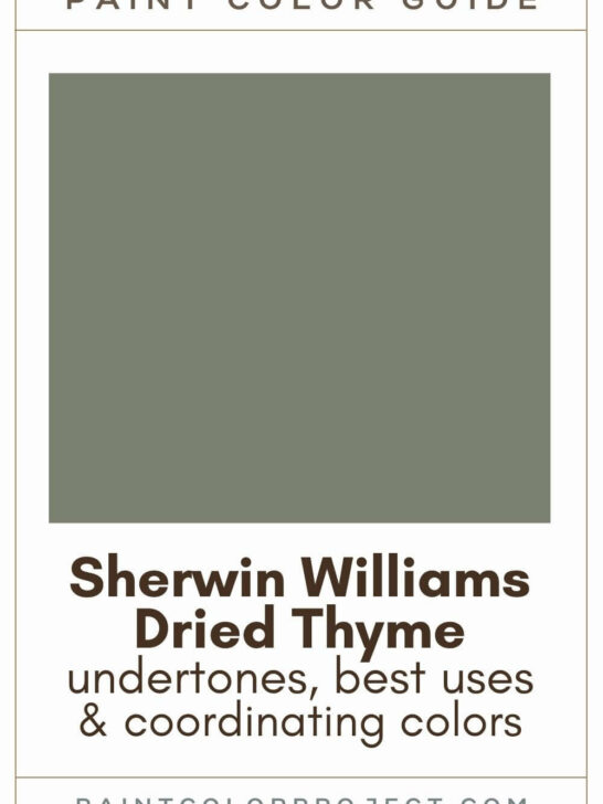 Sherwin Williams Dried Thyme Paint Color Guide